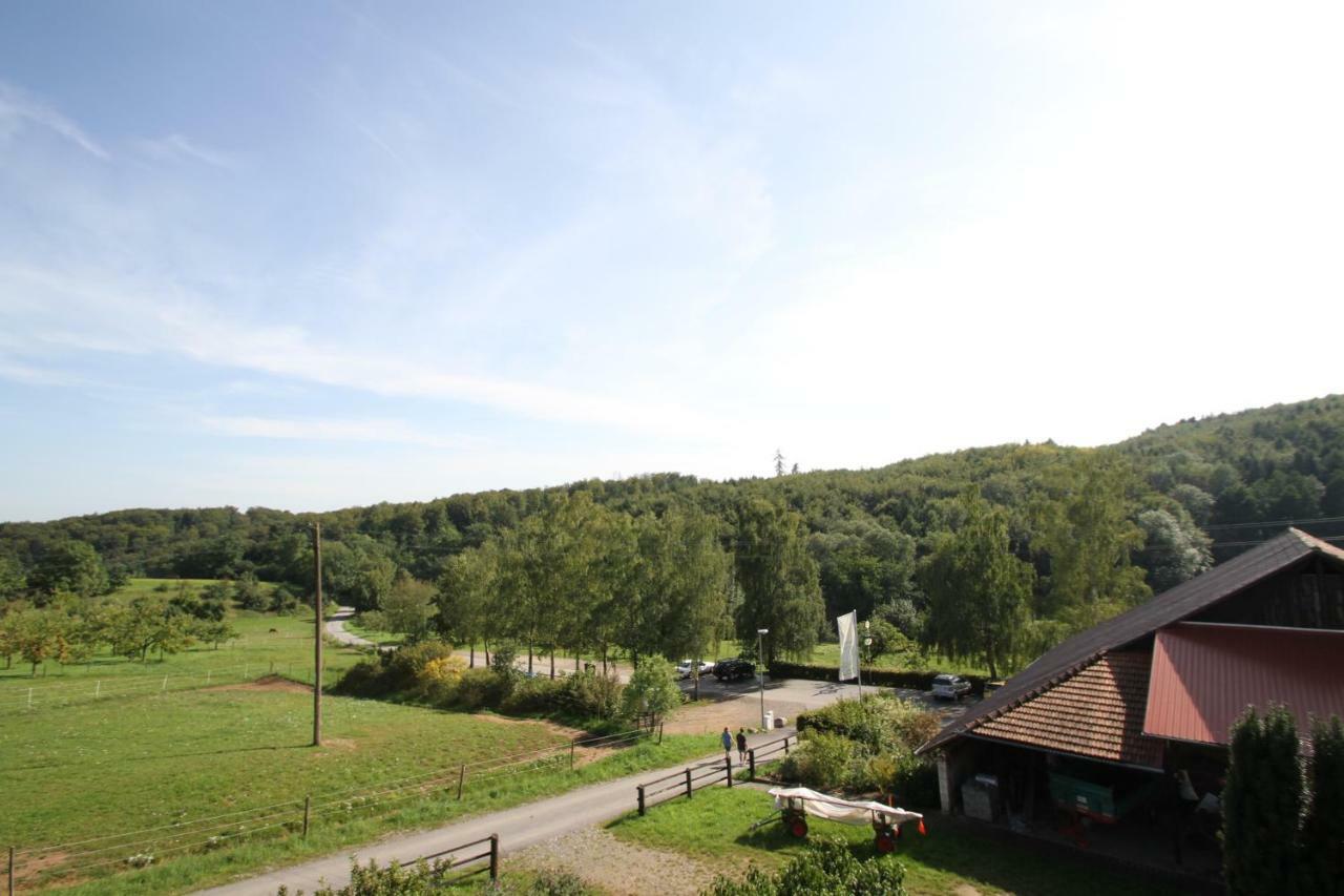 Ferienwohnung Edelbrenner Rimbach  Luaran gambar